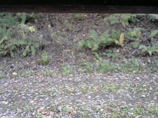 長野県菅平高原 ゆたか山荘 南側 2025/10/29 13:45