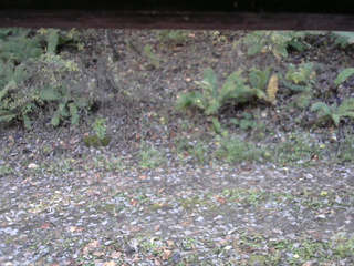 長野県菅平高原 ゆたか山荘 南側 2025/10/29 14:00