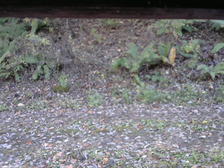 長野県菅平高原 ゆたか山荘 南側 2025/10/29 14:15