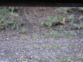 長野県菅平高原 ゆたか山荘 南側 2025/10/29 14:30