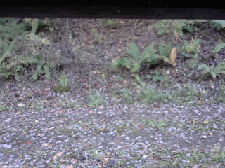 長野県菅平高原 ゆたか山荘 南側 2025/10/29 15:00