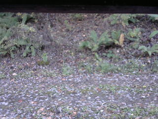 長野県菅平高原 ゆたか山荘 南側 2025/10/29 15:15