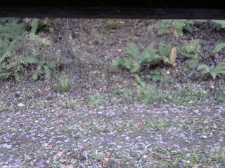 長野県菅平高原 ゆたか山荘 南側 2025/10/29 16:15