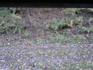 長野県菅平高原 ゆたか山荘 南側 2025/10/29 16:30