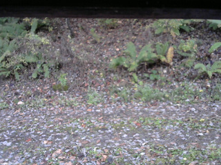 長野県菅平高原 ゆたか山荘 南側 2025/10/29 16:45