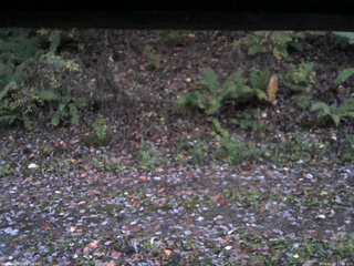 長野県菅平高原 ゆたか山荘 南側 2025/10/29 17:00