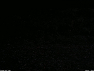 長野県菅平高原 ゆたか山荘 南側 2025/10/29 17:15