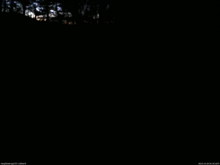 長野県菅平高原 ゆたか山荘 東側(坂下) 2025/10/29 05:30