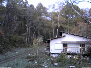 長野県菅平高原 ゆたか山荘 西側(坂上) 2025/10/29 06:00