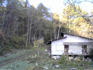 長野県菅平高原 ゆたか山荘 西側(坂上) 2025/10/29 06:30