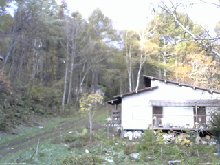 長野県菅平高原 ゆたか山荘 西側(坂上) 2025/10/29 06:45