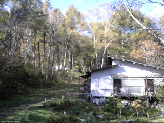 長野県菅平高原 ゆたか山荘 西側(坂上) 2025/10/29 09:45