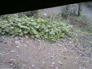 長野県菅平高原 ゆたか山荘 駐車場 2025/10/29 08:30