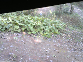 長野県菅平高原 ゆたか山荘 駐車場 2025/10/29 10:15