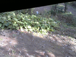 長野県菅平高原 ゆたか山荘 駐車場 2025/10/29 12:15