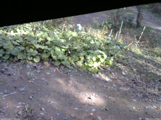 長野県菅平高原 ゆたか山荘 駐車場 2025/10/29 12:45