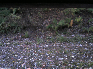 長野県菅平高原 ゆたか山荘 南側 2025/10/30 06:00