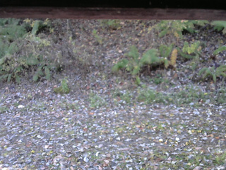 長野県菅平高原 ゆたか山荘 南側 2025/10/30 06:45