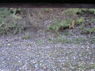 長野県菅平高原 ゆたか山荘 南側 2025/10/30 07:15