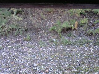 長野県菅平高原 ゆたか山荘 南側 2025/10/30 07:30