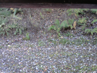 長野県菅平高原 ゆたか山荘 南側 2025/10/30 08:00