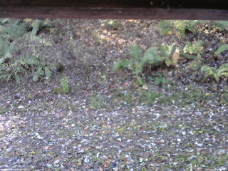 長野県菅平高原 ゆたか山荘 南側 2025/10/30 08:45