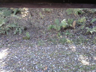 長野県菅平高原 ゆたか山荘 南側 2025/10/30 11:00