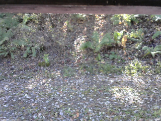 長野県菅平高原 ゆたか山荘 南側 2025/10/30 11:30