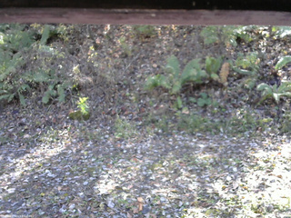 長野県菅平高原 ゆたか山荘 南側 2025/10/30 12:00