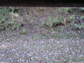 長野県菅平高原 ゆたか山荘 南側 2025/10/30 13:45