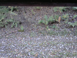 長野県菅平高原 ゆたか山荘 南側 2025/10/30 14:15