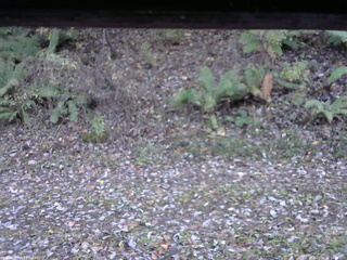 長野県菅平高原 ゆたか山荘 南側 2025/10/30 16:00