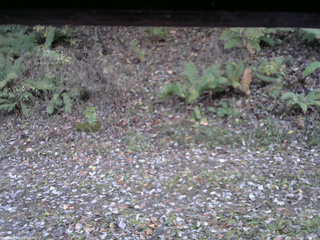 長野県菅平高原 ゆたか山荘 南側 2025/10/30 16:45