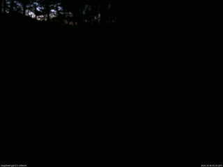 長野県菅平高原 ゆたか山荘 東側(坂下) 2025/10/30 05:30