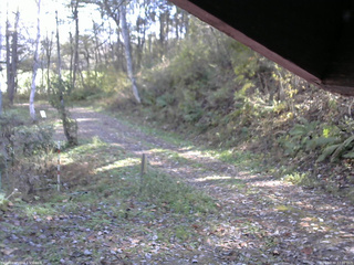 長野県菅平高原 ゆたか山荘 東側(坂下) 2025/10/30 12:00