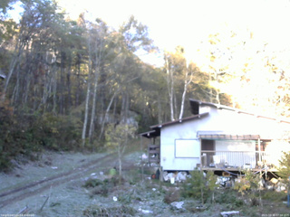 長野県菅平高原 ゆたか山荘 西側(坂上) 2025/10/30 07:00
