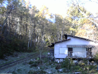 長野県菅平高原 ゆたか山荘 西側(坂上) 2025/10/30 08:15