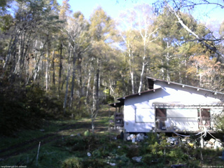 長野県菅平高原 ゆたか山荘 西側(坂上) 2025/10/30 09:15