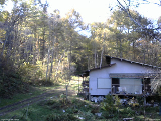 長野県菅平高原 ゆたか山荘 西側(坂上) 2025/10/30 13:15