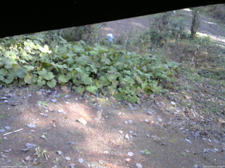 長野県菅平高原 ゆたか山荘 駐車場 2025/10/30 11:30