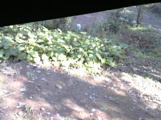 長野県菅平高原 ゆたか山荘 駐車場 2025/10/30 12:15