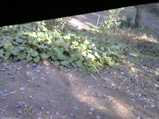長野県菅平高原 ゆたか山荘 駐車場 2025/10/30 13:15