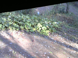 長野県菅平高原 ゆたか山荘 駐車場 2025/10/30 13:30
