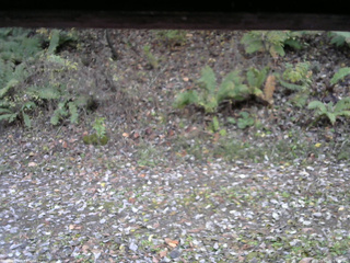 長野県菅平高原 ゆたか山荘 南側 2025/10/31 07:15