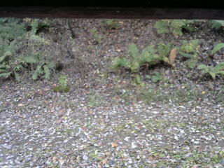 長野県菅平高原 ゆたか山荘 南側 2025/10/31 08:00