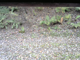 長野県菅平高原 ゆたか山荘 南側 2025/10/31 09:45