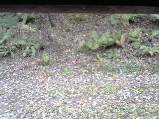 長野県菅平高原 ゆたか山荘 南側 2025/10/31 10:15