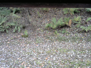 長野県菅平高原 ゆたか山荘 南側 2025/10/31 11:00