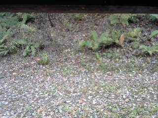 長野県菅平高原 ゆたか山荘 南側 2025/10/31 11:30