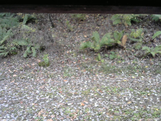 長野県菅平高原 ゆたか山荘 南側 2025/10/31 11:45